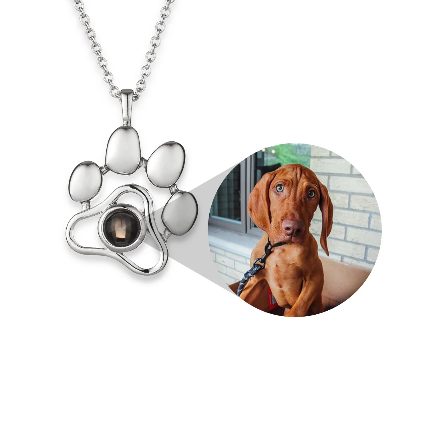 Dogs Eternize  - Personalizado com foto